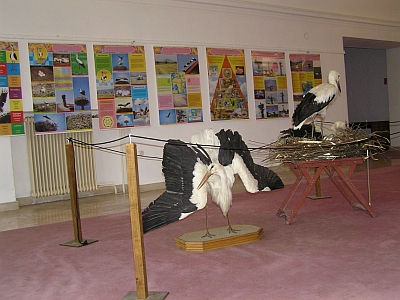 Výstava v Hanušovciach na Topěovou